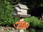 Wood sign Squirrel Tree mountains - the fat squirrel